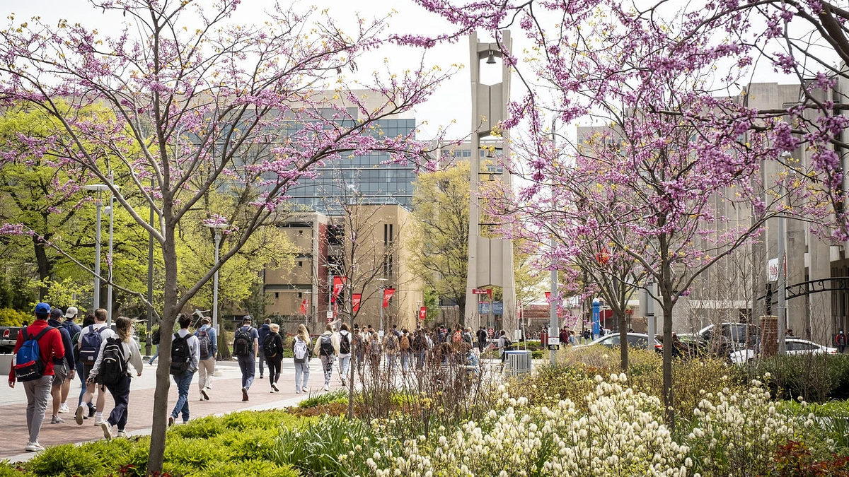 Temple's Bell Tower